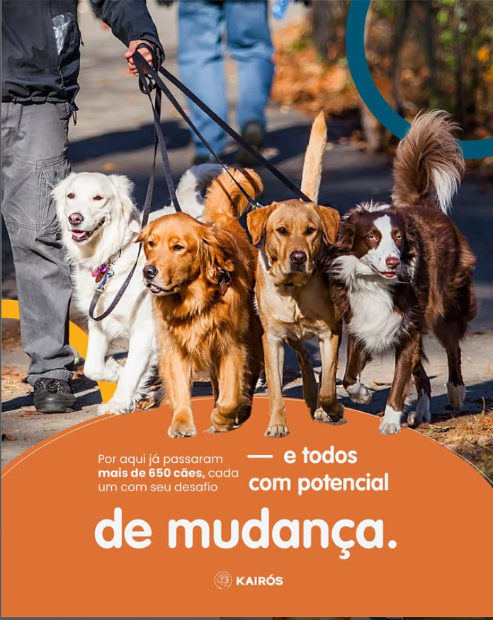 Captura de tela 2025-10-05 135335