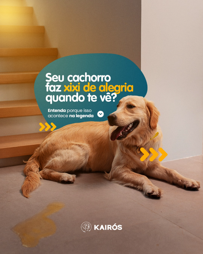 Captura de tela 2025-10-05 135358