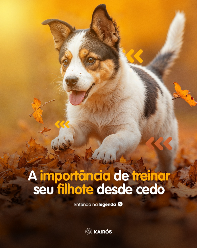 Captura de tela 2025-10-05 135413